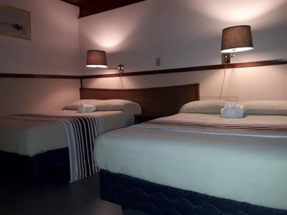 Double Room at Falcon Nest Motel, photo 2