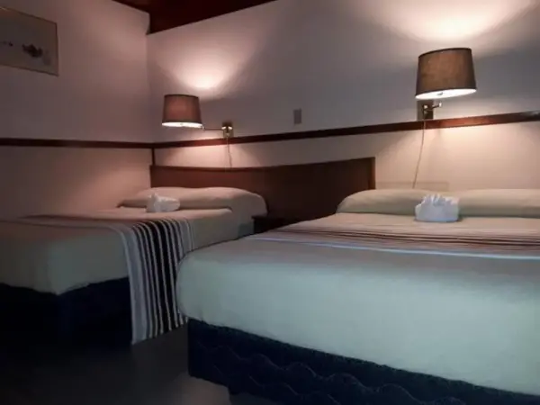 Falcon Nest Motel 10